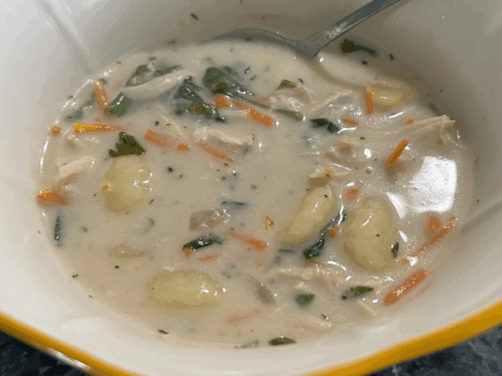 chicken & gnocchi soup in bowl