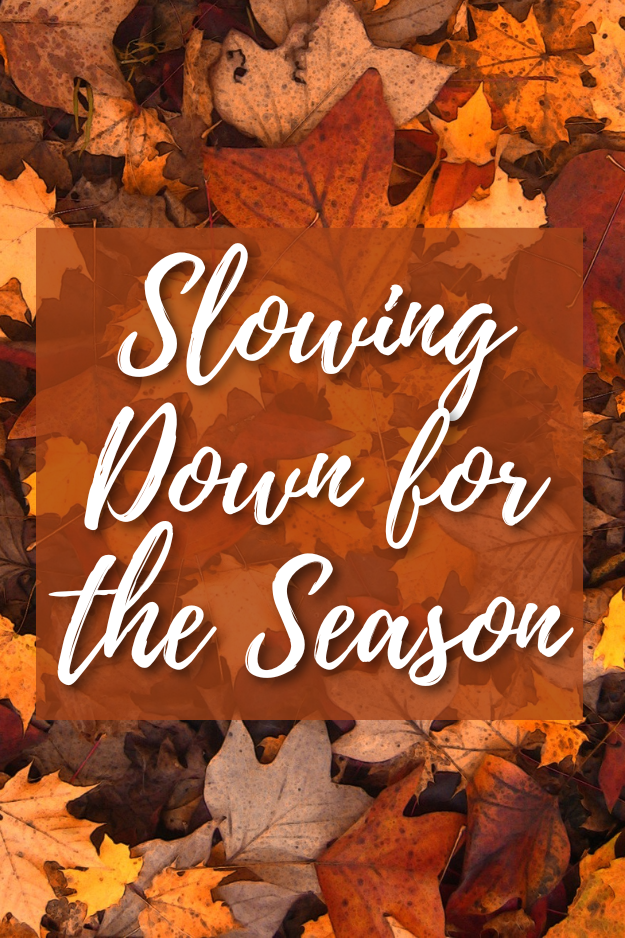 Slowing Down for the seasons pin for pinterest