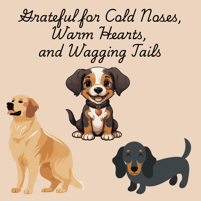 Grateful for Cold Noses, Warm Hearts, and Wagging Tails