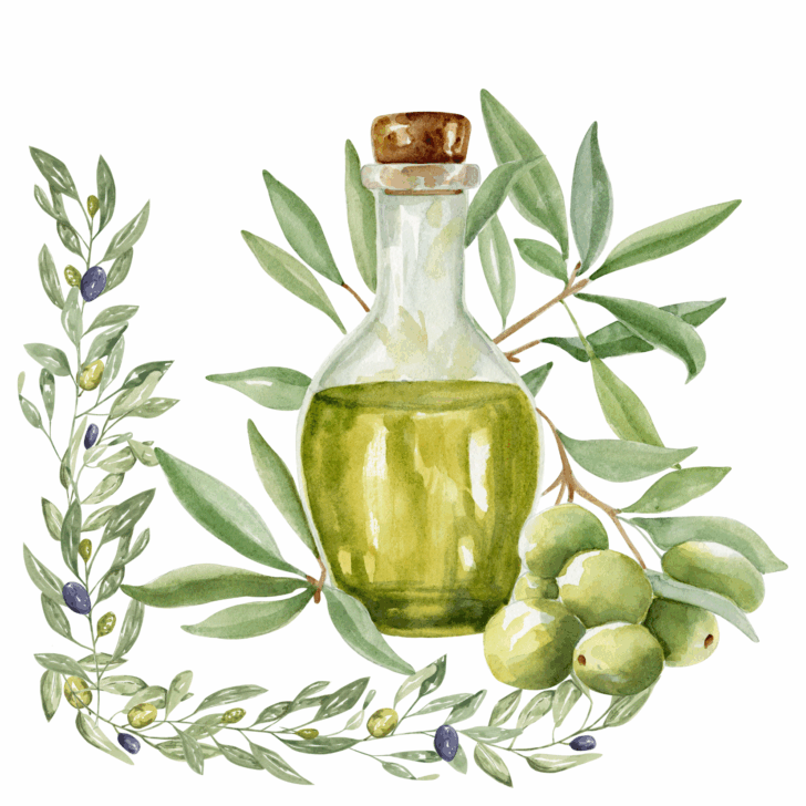 olive oil