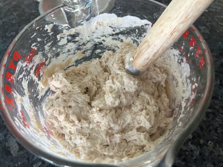 Rosemary Garlic Focaccia shaggy dough